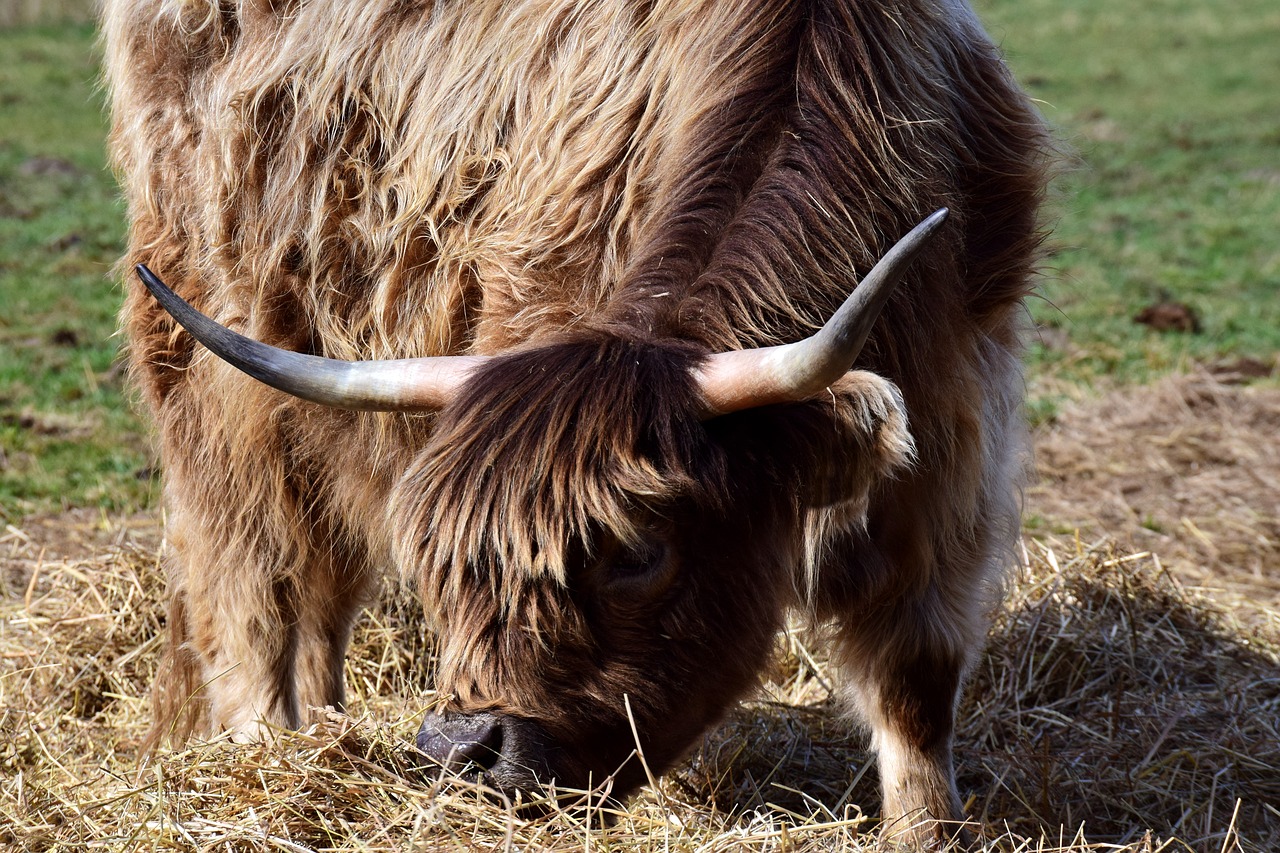 How to Promote Eco-farming in Your Local Community